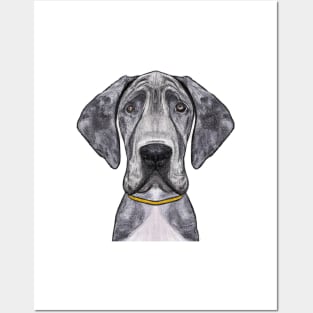 Cute Great Dane Drawing Posters and Art